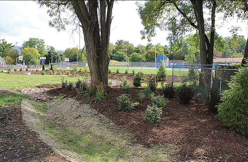 Rain garden